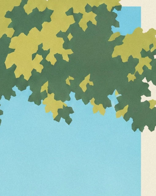 The dark green and yellow plane tree foliage against the blue sky