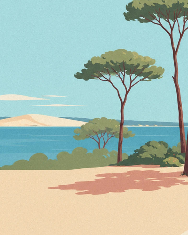 The umbrella pines facing the blue bay and white dune, with their pink shadows on the sand