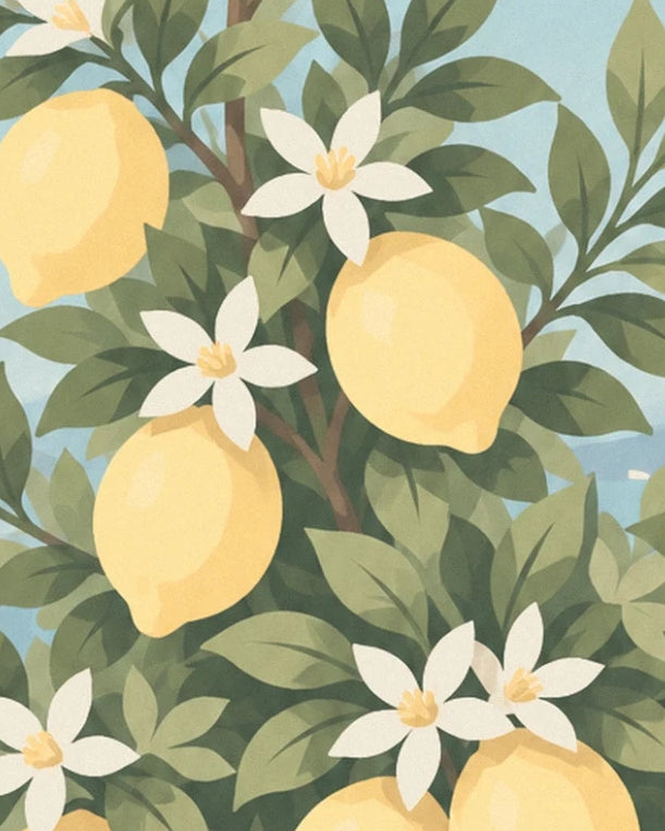 Yellow lemons and white star-shaped flowers among the lemon tree’s leaves