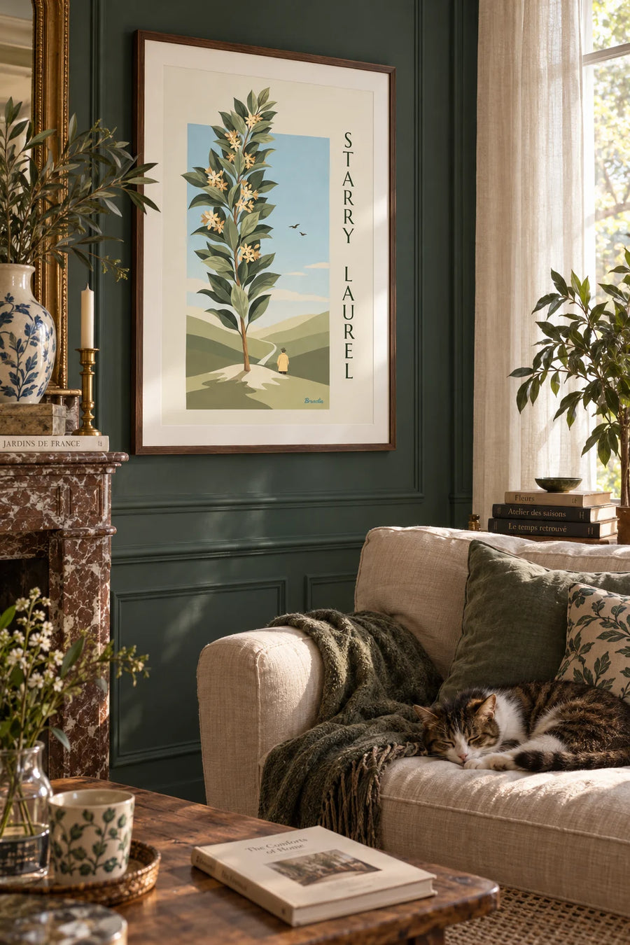 Poster of a botanical plate of laurel with star-shaped flowers: framed on the wall