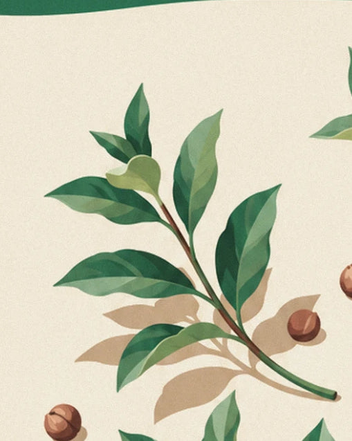 Rameau de feuilles vert foncé avec son ombre sur fond crème, et une graine brune