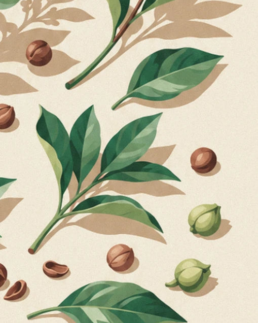 Feuilles, tiges coupées et graines brunes ou vert clair éparpillées sur le papier crème