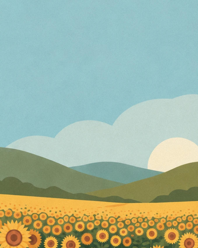 Die blasse Sonne hinter den grünen Hügeln, über dem Feld blühender Sonnenblumen
