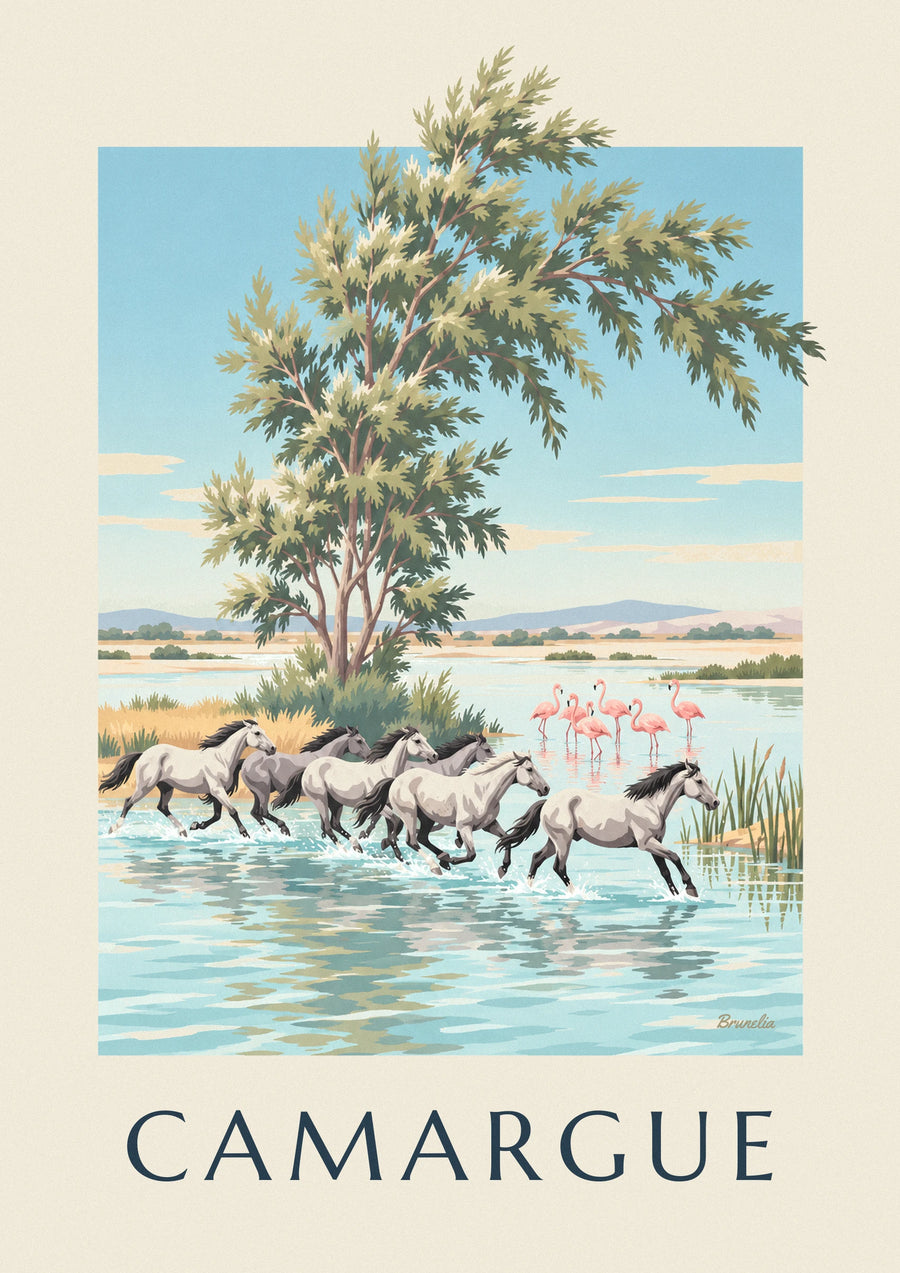 Poster Camargue-Pferde im Galopp durch die Sümpfe