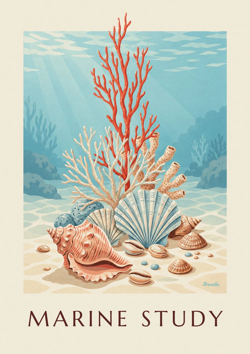 Poster of a naturalist plate of corals and seashells: the full poster
