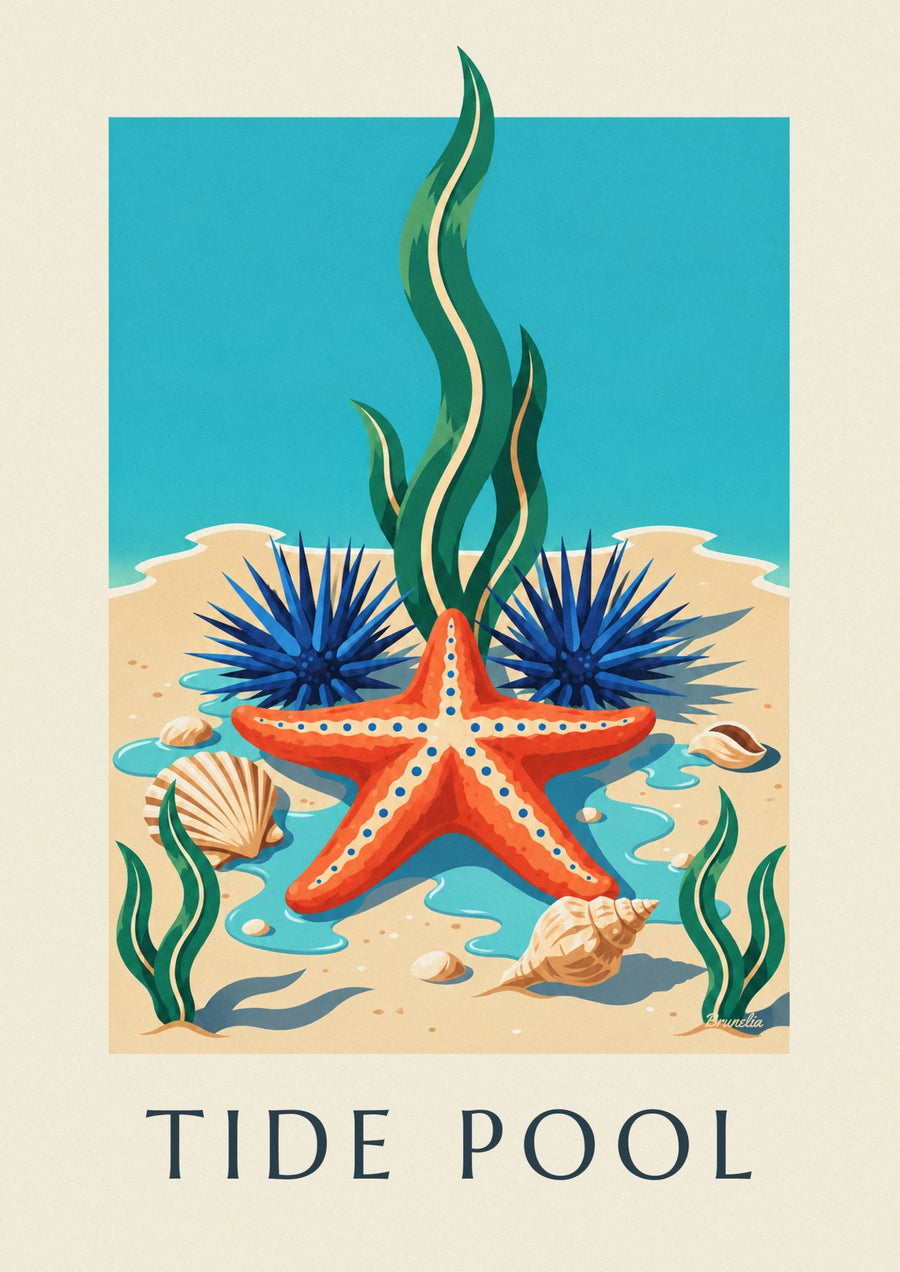 Affiche étoile de mer et faune marine de la côte du Cap