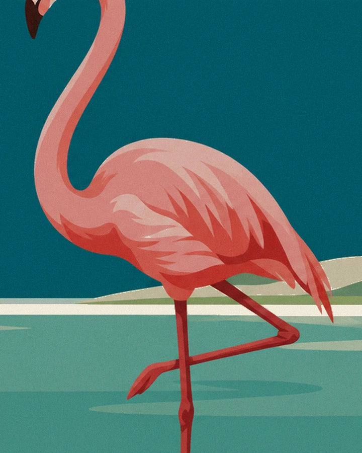 Le flamant rose sur une patte, plumage corail et long cou courbé, les pieds dans l'eau turquoise