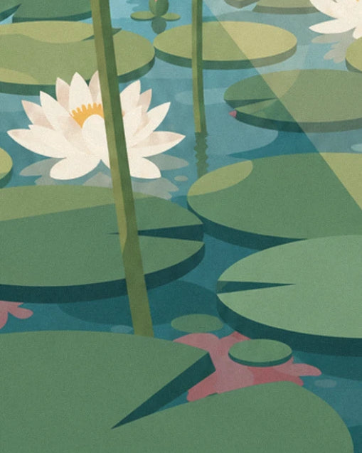 Ein weißer Lotus mit gelber Mitte zwischen breiten grünen Blättern auf dem blauen Wasser