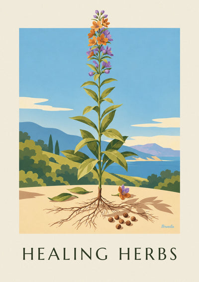 Herbarium poster, medicinal plant plate: the full poster
