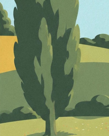 A tall cypress tree in shades of green in front of the hills and blue sky