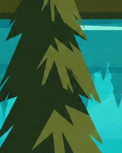 Un grand sapin aux branches vert sombre et olive devant les eaux turquoise