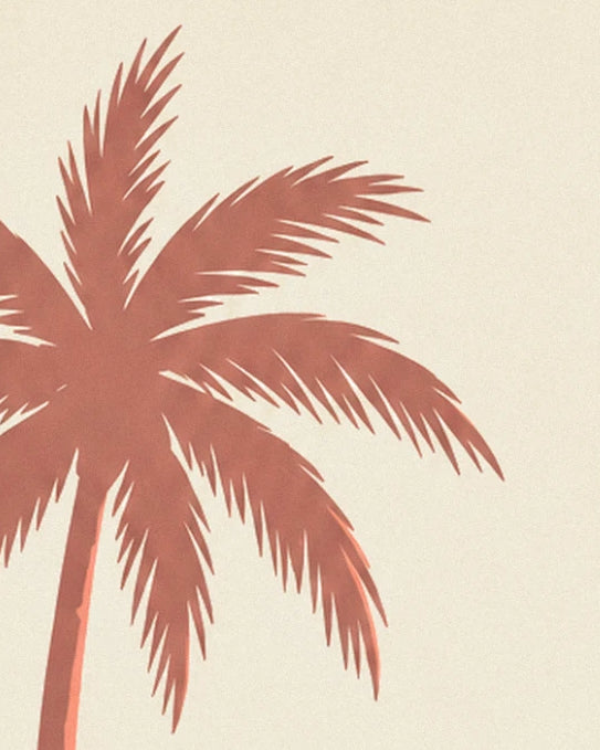 Eine rotbraune Palme mit breiten, geteilten Wedeln vor dem cremefarbenen Himmel