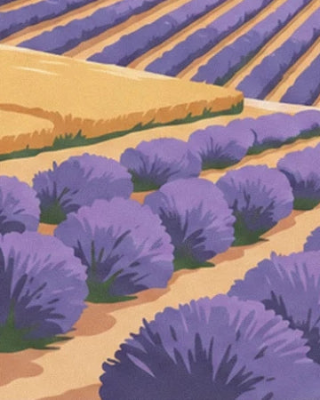 Clumps of purple lavender lined up along the ochre earth paths