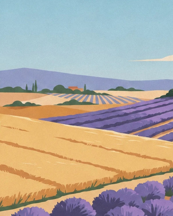 The golden fields and rows of lavender in front of the mauve hills
