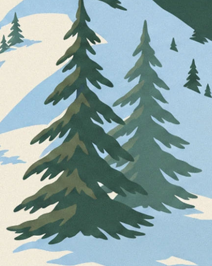 The tall fir trees with green branches and their blue shadows on the snow