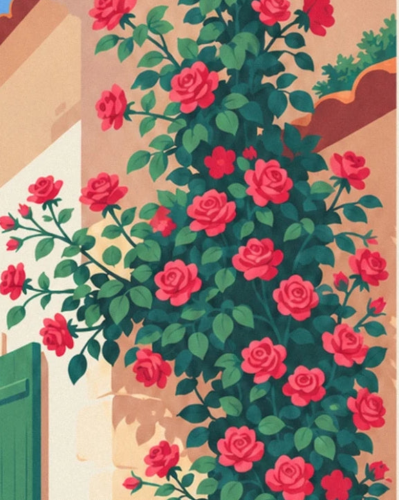 The climbing rose with red blooms along the façade, beside a green shutter