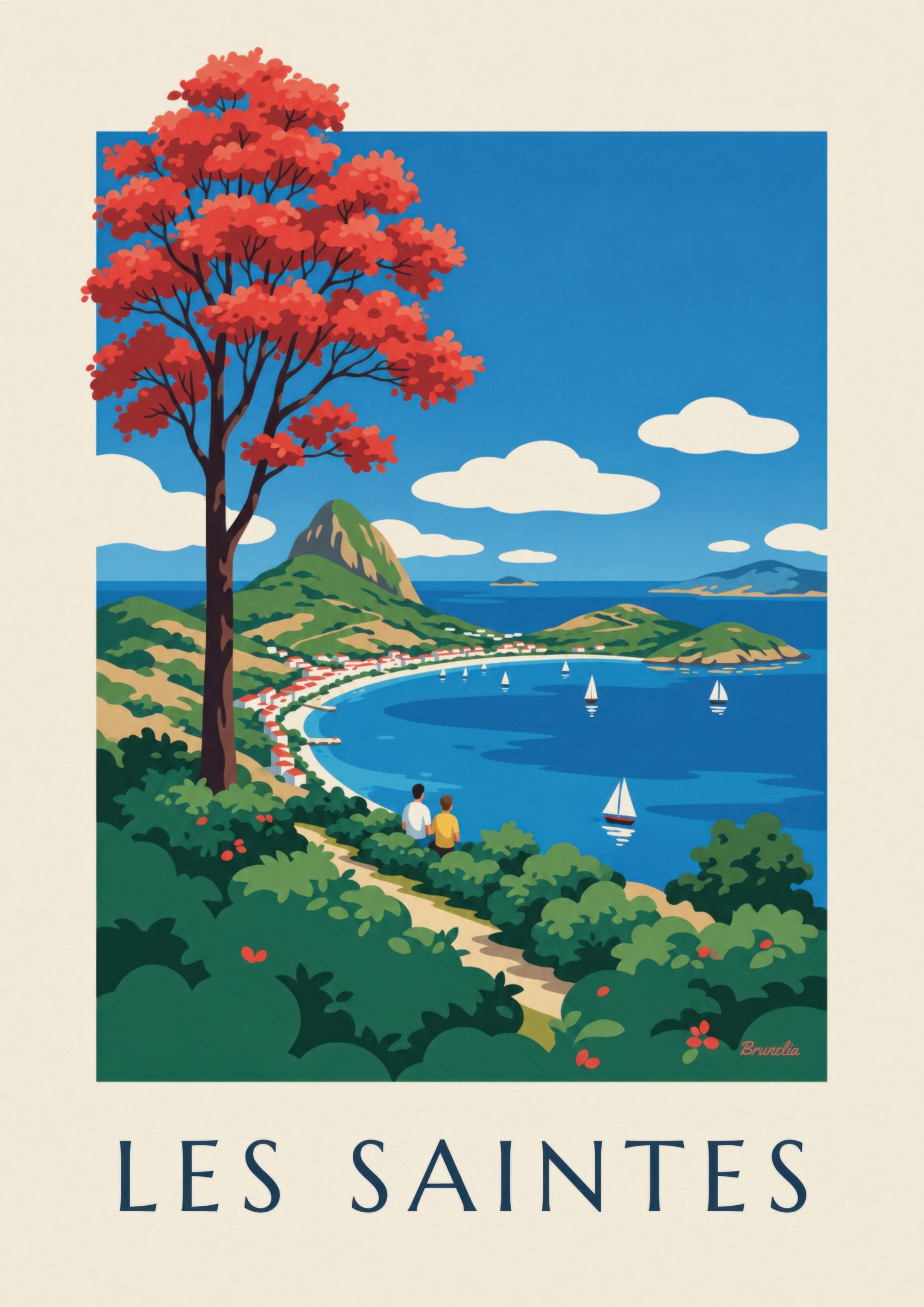 Affiche Guadeloupe, baie des Saintes à Terre-de-Haut: Detail in Nahaufnahme