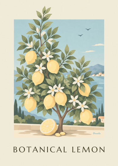 Poster Zitronenbaum Citrus limon als botanische Tafel: das ganze Poster