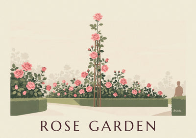 Poster mit Kletterrose als botanische Illustration: das ganze Poster