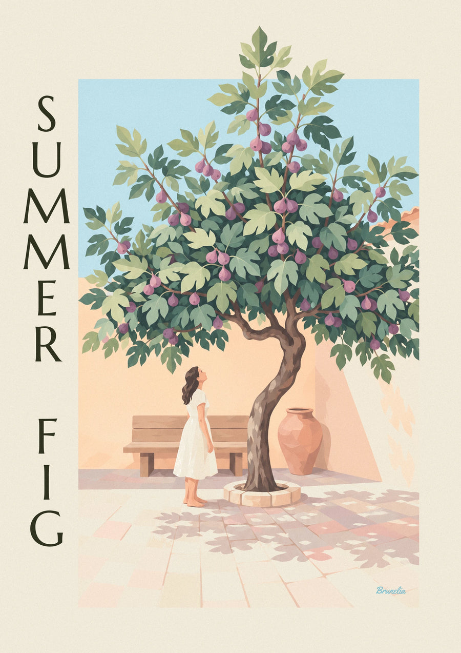 Fig tree laden with purple figs in a stone courtyard poster