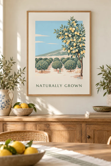 Affiche citronneraie en rangées au pied d'une colline ensoleillée : encadrée au mur
