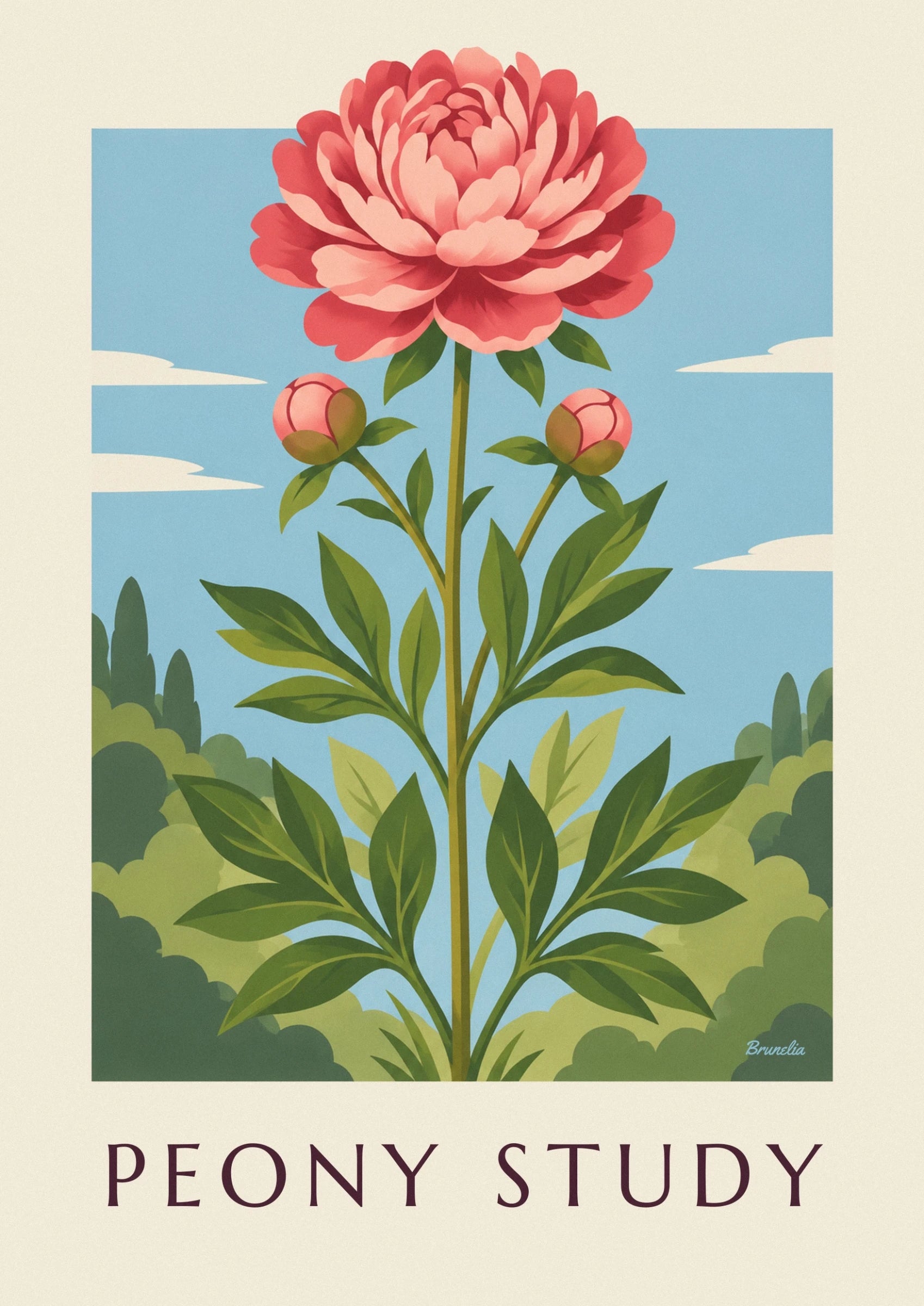 Eine rosa Pfingstrose in voller Blüte und ihre 2 Knospen an Stängeln mit grünem Laub