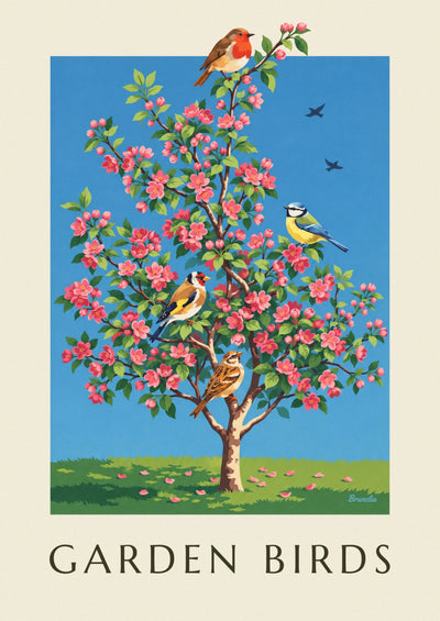Poster of garden birds on a flowering apple tree: the full poster
