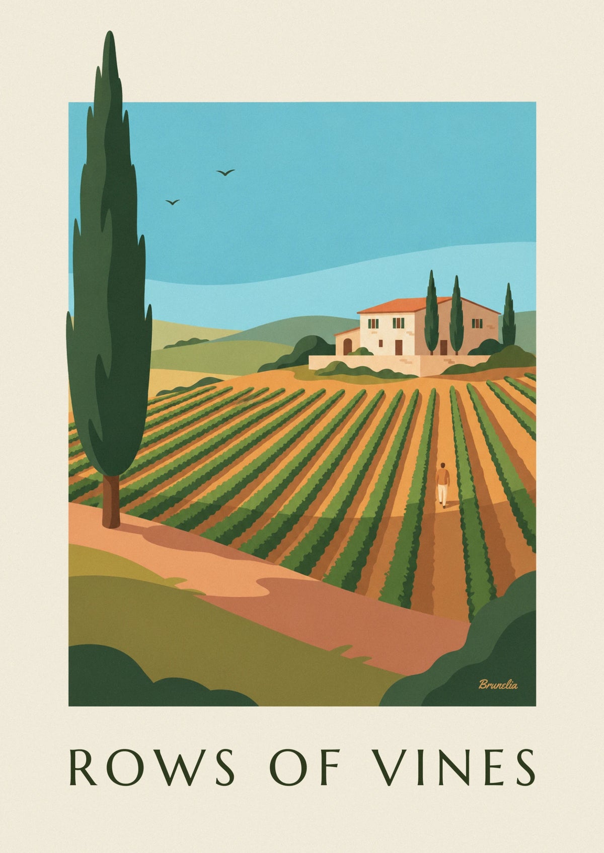 Vineyard landscape with vine rows and cypresses poster