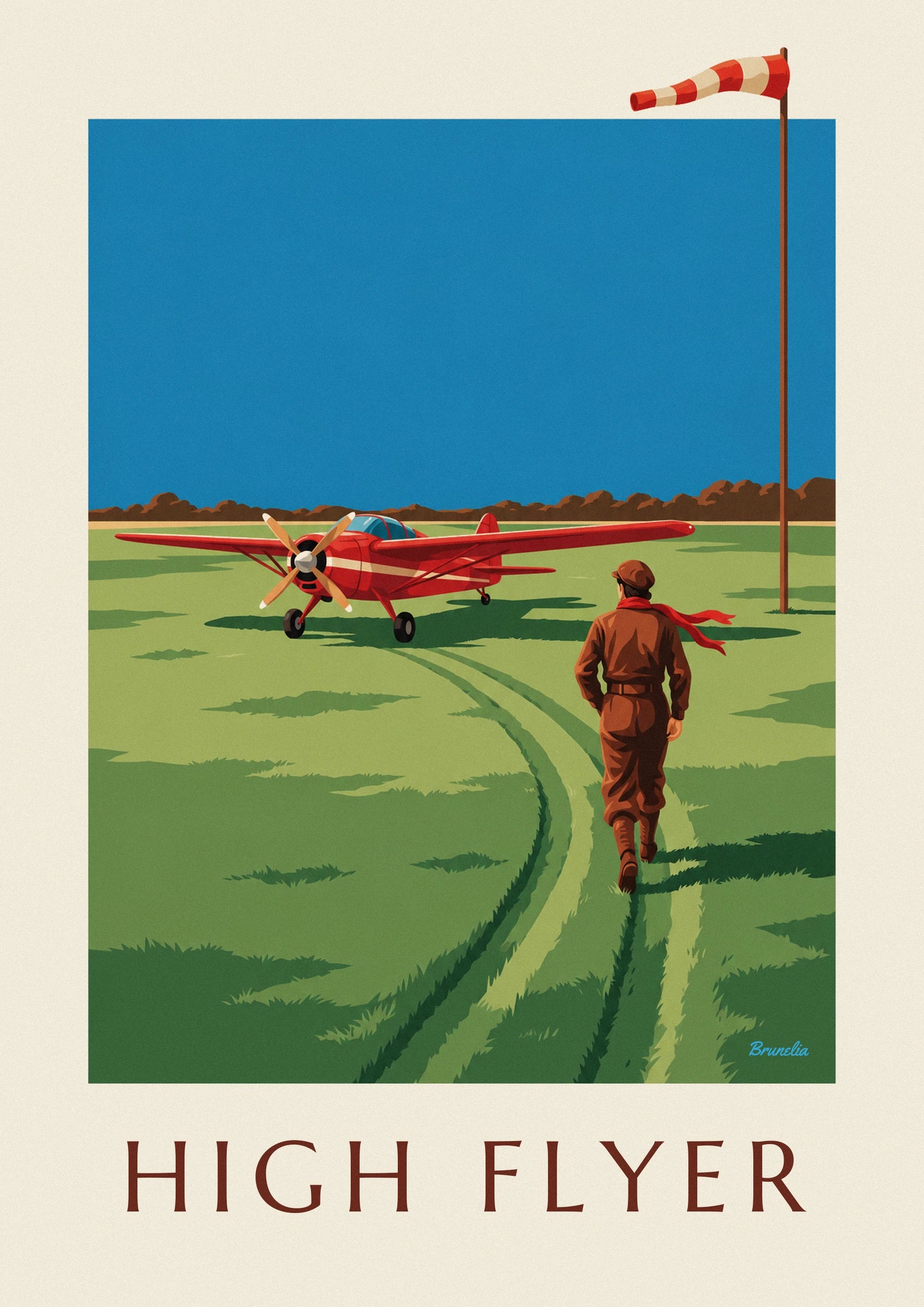 Aviator and red propeller plane on a grass airstrip poster: close-up detail