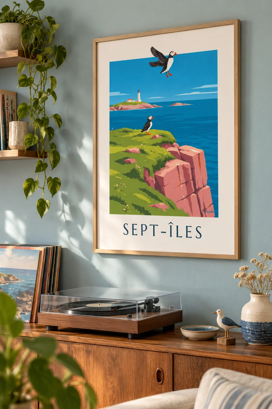 Poster Papageitaucher auf den Klippen der Sept-Îles: gerahmt an der Wand